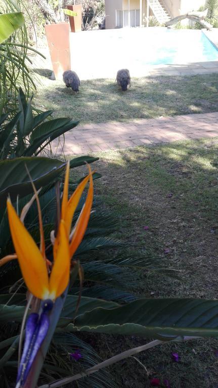 Villa Via Hotel Midrand Luaran gambar