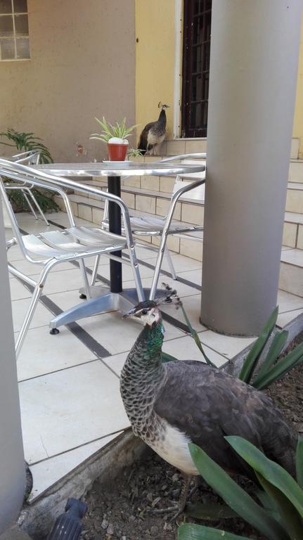 Villa Via Hotel Midrand Luaran gambar